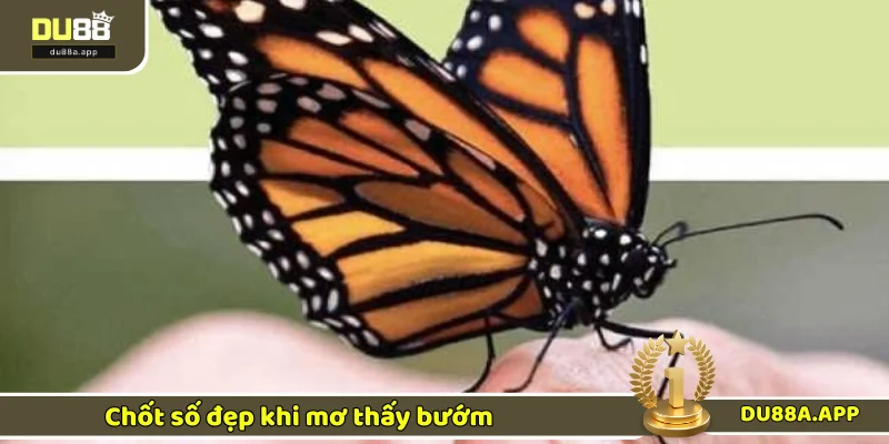 Ngủ Mơ Thấy Buớm - Điềm Báo Và Bộ Số Đổi Vận Cực Chuẩn 3 Gợi ý các số đẹp trong giấc mơ hồ điệp