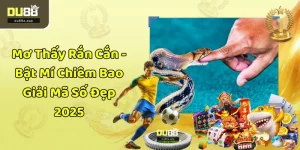 Mơ Thấy Rắn Cắn - Bật Mí Chiêm Bao Giải Mã Số Đẹp 2025