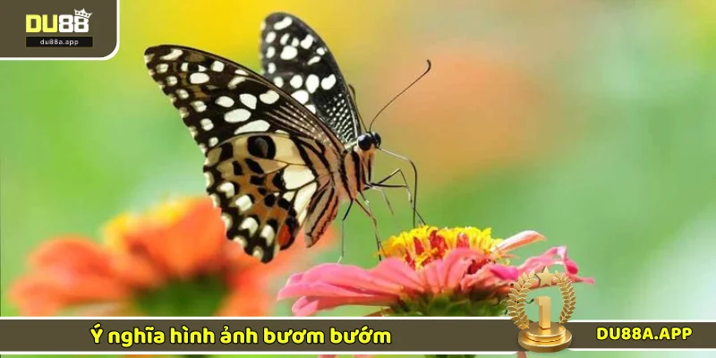 Ngủ Mơ Thấy Buớm - Điềm Báo Và Bộ Số Đổi Vận Cực Chuẩn 1 Giải thích ý nghĩa ngủ mơ thấy bướm